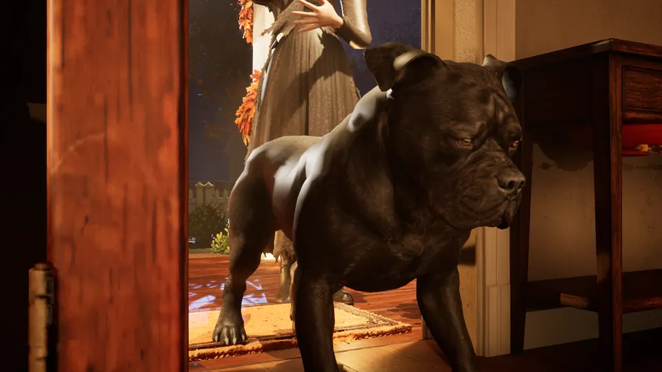 A huge black dog pushes in through the front door